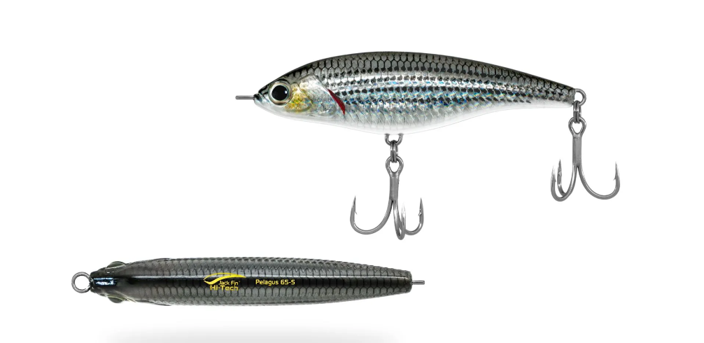 JACK FIN PELAGUS 65 - immagine 3