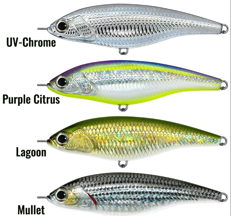JACK FIN PELAGUS 65 - immagine 5