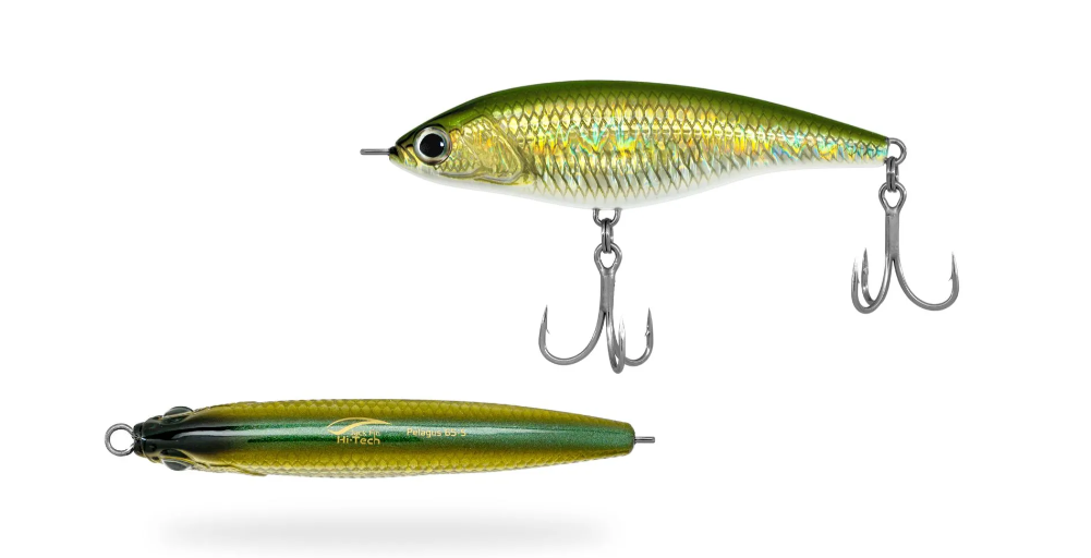 JACK FIN PELAGUS 65 - immagine 6