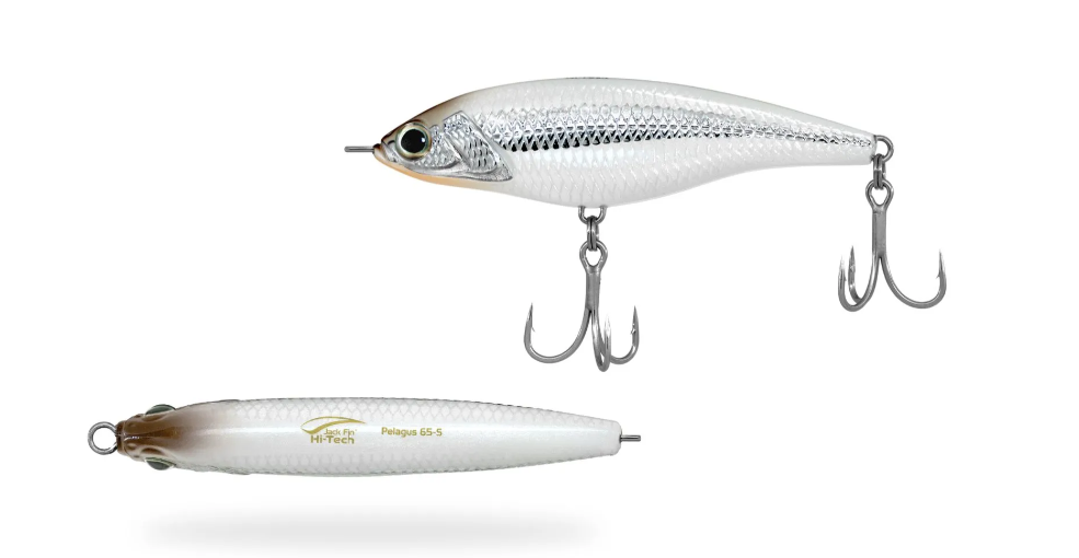 JACK FIN PELAGUS 65 - immagine 7