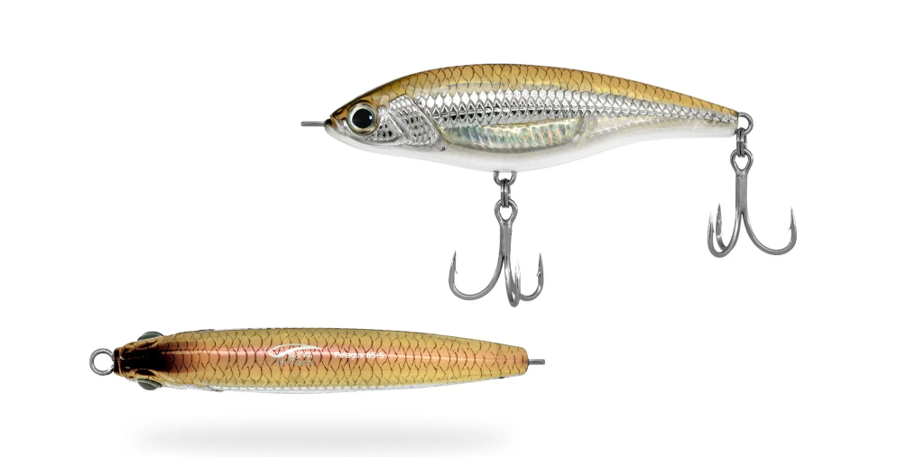 JACK FIN PELAGUS 65 - immagine 8