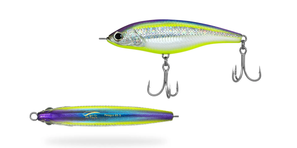 JACK FIN PELAGUS 65 - immagine 2