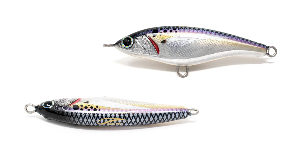 JACK FIN PELAGUS 75 - immagine 14
