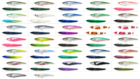 JACK FIN PELAGUS 165