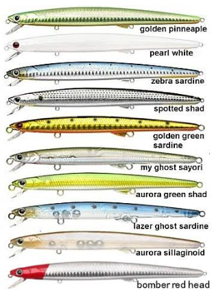 TAILWALK LUCKY CRAFT SEA FINGER 173MM 21.6GR